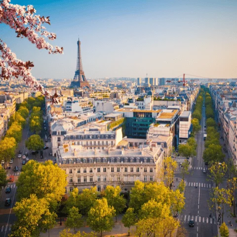 Taxi Nice Paris